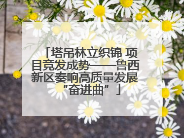 塔吊林立织锦 项目竞发成势——鲁西新区奏响高质量发展“奋进曲”