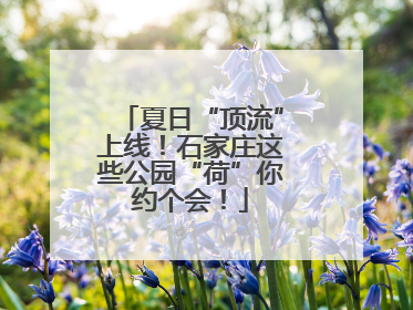 夏日“顶流”上线！石家庄这些公园“荷”你约个会！