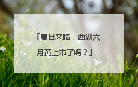 夏日来临，西湖六月黄上市了吗？