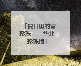 夏日里的雪珍珠——华北珍珠梅
