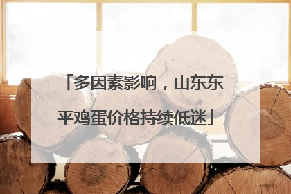 多因素影响，山东东平鸡蛋价格持续低迷