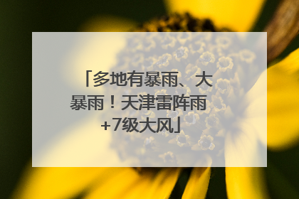多地有暴雨、大暴雨！天津雷阵雨+7级大风