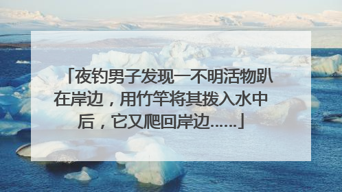 夜钓男子发现一不明活物趴在岸边，用竹竿将其拨入水中后，它又爬回岸边……