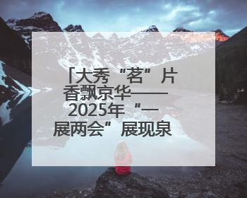 大秀“茗”片 香飘京华——2025年“一展两会”展现泉州茶独特魅力