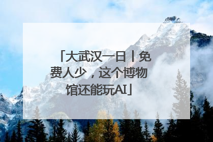大武汉一日丨免费人少，这个博物馆还能玩AI