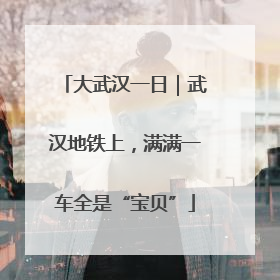 大武汉一日｜武汉地铁上，满满一车全是“宝贝”