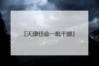 天津任命一批干部