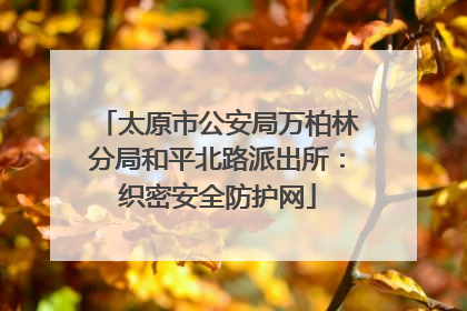 太原市公安局万柏林分局和平北路派出所：织密安全防护网
