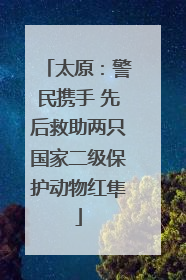 太原：警民携手 先后救助两只国家二级保护动物红隼