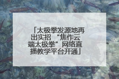 太极拳发源地再出实招 “焦作云端太极拳”网络直播教学平台开通