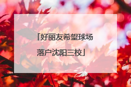 好丽友希望球场落户沈阳三校
