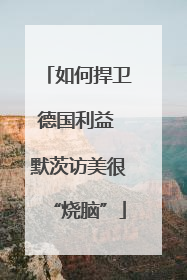 如何捍卫德国利益 默茨访美很“烧脑”