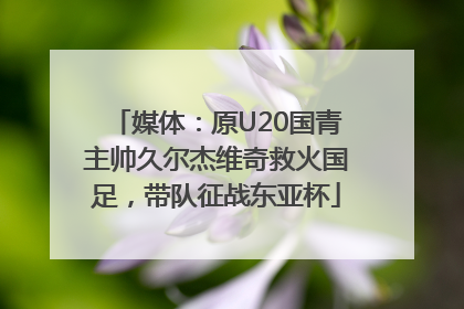 媒体：原U20国青主帅久尔杰维奇救火国足，带队征战东亚杯