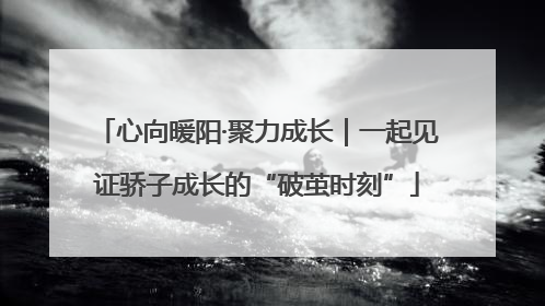 心向暖阳·聚力成长｜一起见证骄子成长的“破茧时刻”