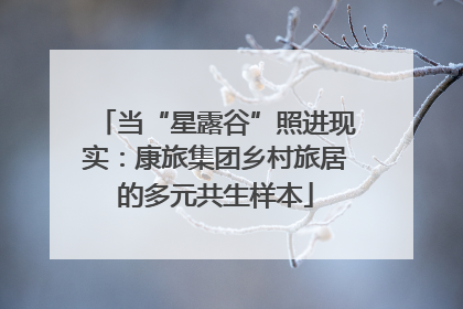 当“星露谷”照进现实：康旅集团乡村旅居的多元共生样本