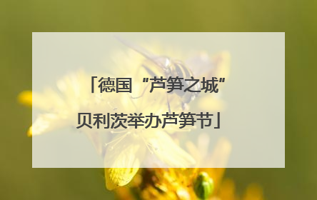 德国“芦笋之城”贝利茨举办芦笋节