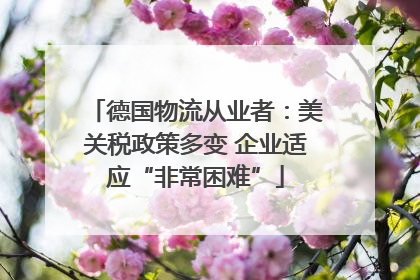 德国物流从业者：美关税政策多变 企业适应“非常困难”