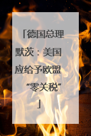 德国总理默茨：美国应给予欧盟“零关税”