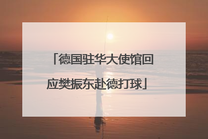 德国驻华大使馆回应樊振东赴德打球