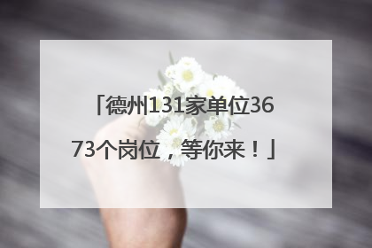 德州131家单位3673个岗位，等你来！