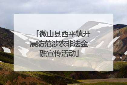 微山县西平镇开展防范涉农非法金融宣传活动