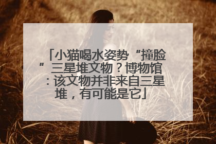 小猫喝水姿势“撞脸”三星堆文物？博物馆：该文物并非来自三星堆，有可能是它