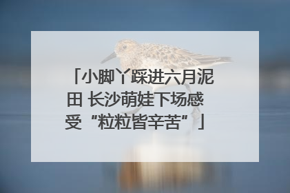 小脚丫踩进六月泥田 长沙萌娃下场感受“粒粒皆辛苦”