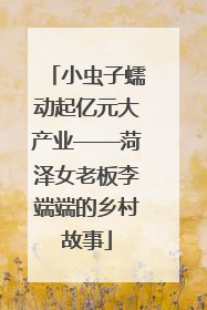 小虫子蠕动起亿元大产业——菏泽女老板李端端的乡村故事