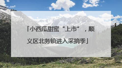 小西瓜甜蜜“上市”，顺义区北务镇进入采摘季