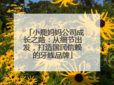 小鹿妈妈公司成长之路：从细节出发，打造国民信赖的牙线品牌
