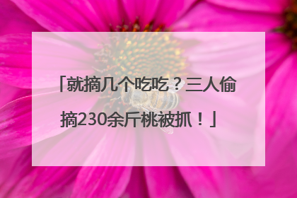 就摘几个吃吃？三人偷摘230余斤桃被抓！