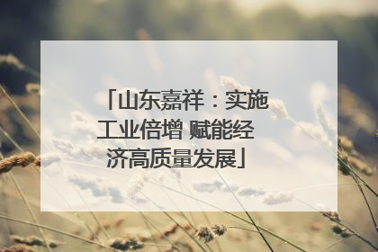 山东嘉祥：实施工业倍增 赋能经济高质量发展