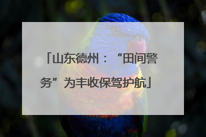 山东德州：“田间警务”为丰收保驾护航