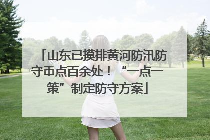 山东已摸排黄河防汛防守重点百余处！“一点一策”制定防守方案