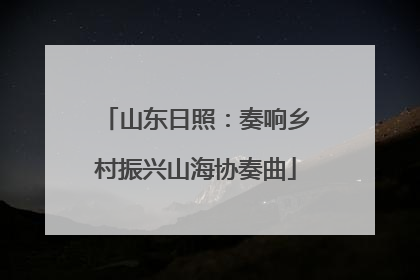 山东日照：奏响乡村振兴山海协奏曲
