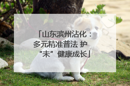 山东滨州沾化：多元精准普法 护“未”健康成长