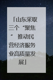 山东采取三个“聚焦” 推动民营经济服务业高质量发展