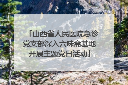 山西省人民医院急诊党支部深入六味斋基地开展主题党日活动
