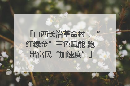 山西长治革命村：“红绿金”三色赋能 跑出富民“加速度”