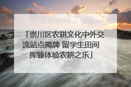 崇川区农耕文化中外交流站点揭牌 留学生田间挥镰体验农耕之乐