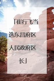 崔行飞当选东昌府区人民政府区长