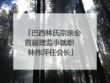 巴西林氏宗亲会首届理监事就职 林伟萍任会长