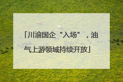 川渝国企“入场”，油气上游领域持续开放