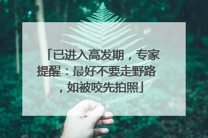已进入高发期，专家提醒：最好不要走野路，如被咬先拍照