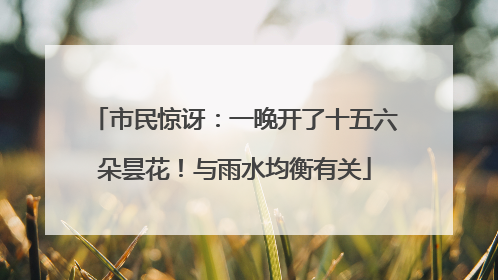 市民惊讶：一晚开了十五六朵昙花！与雨水均衡有关