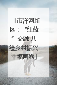 市洋河新区：“红蓝”交融 共绘乡村振兴幸福画卷