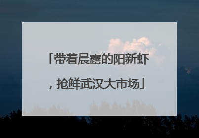 带着晨露的阳新虾，抢鲜武汉大市场