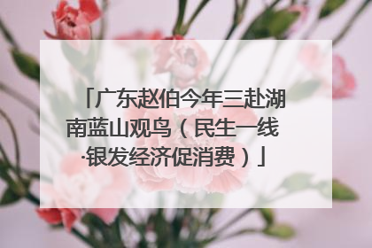 广东赵伯今年三赴湖南蓝山观鸟（民生一线·银发经济促消费）