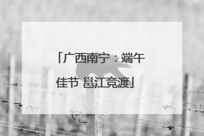 广西南宁：端午佳节 邕江竞渡