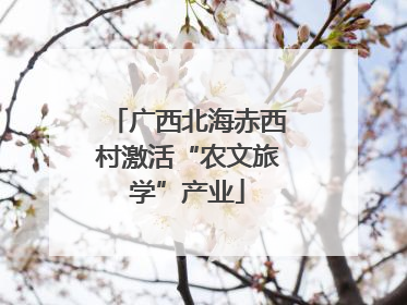 广西北海赤西村激活“农文旅学”产业
